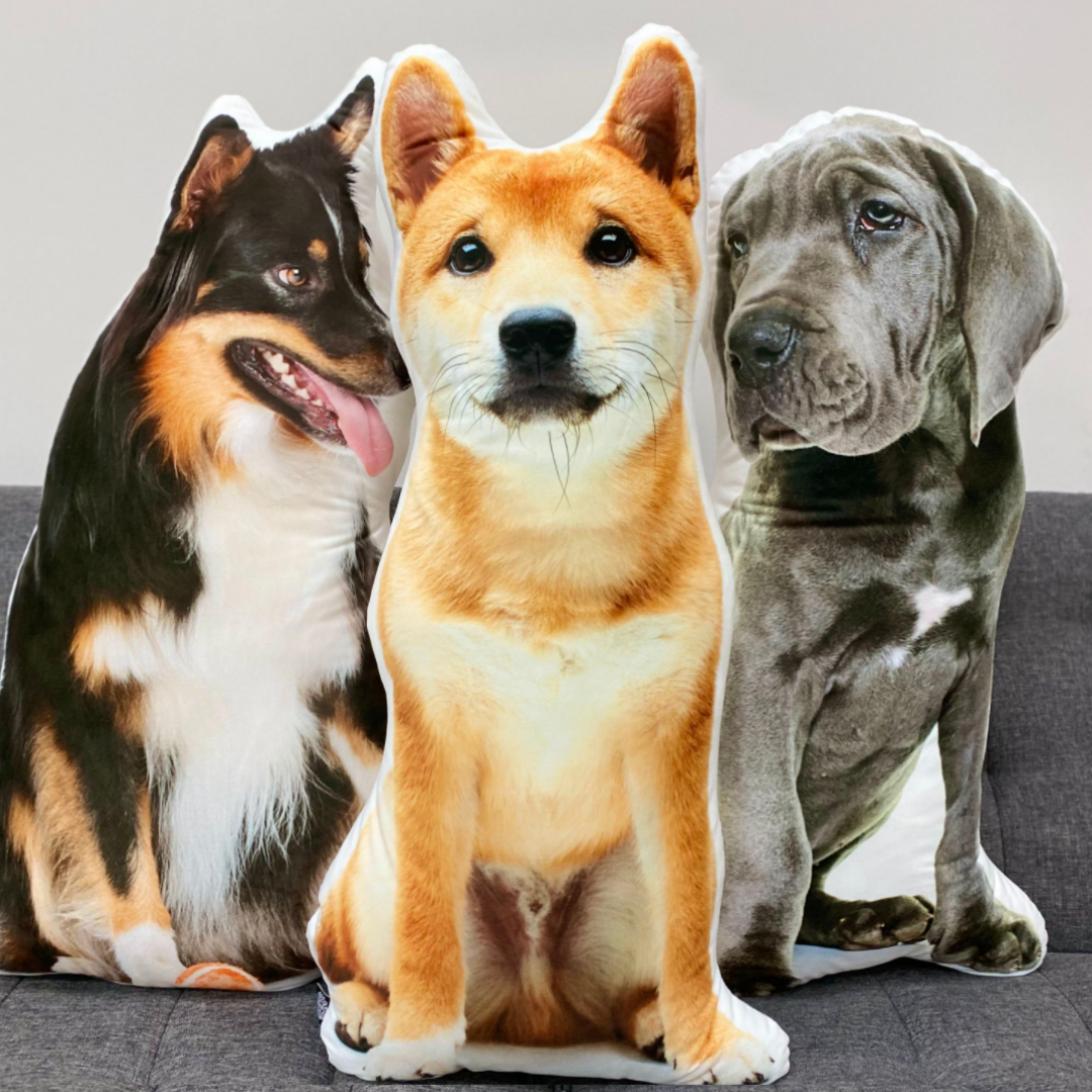 Custom Dog Pillow