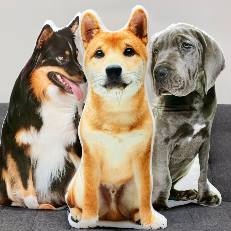 Custom Dog Pillow