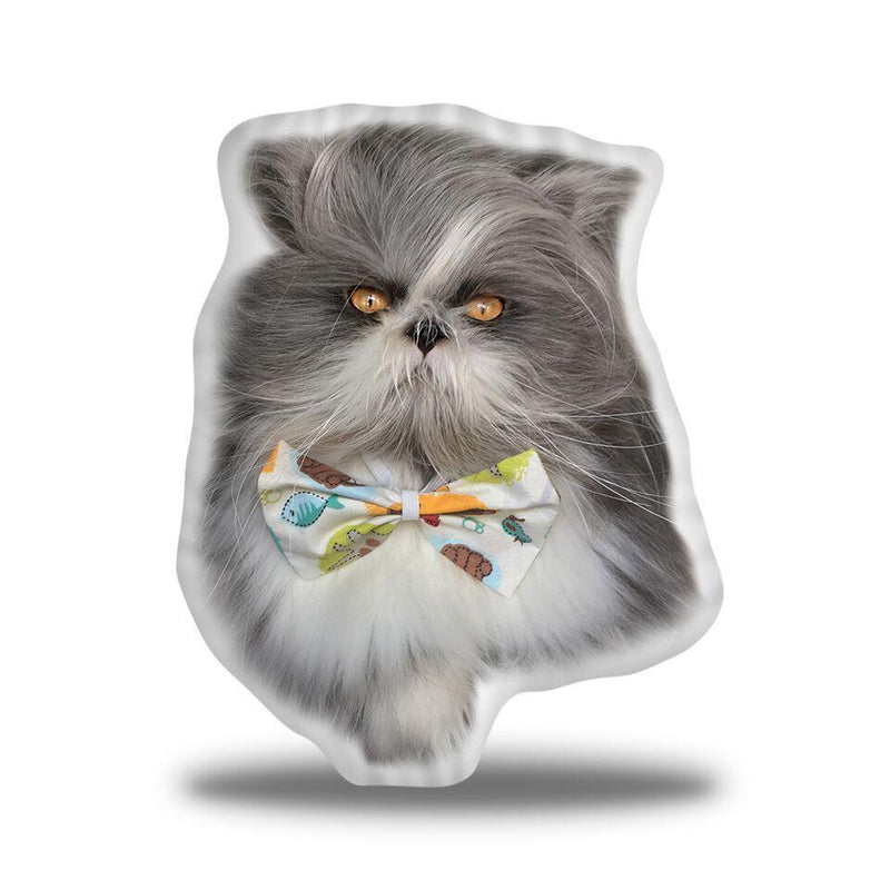 Atchoum Fish Bow Laying Throw Pillow