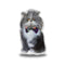 Atchoum Halloween Bow Sitting Throw Pillow