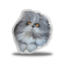 Atchoum Plain Laying Throw Pillow