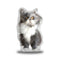 Atchoum Plain Sitting Throw Pillow