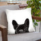 Peeking Bulldog Throw Pillow by Big Nose Work
