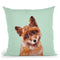 Baby Fox in Green Throw Pillow by Big Nose Work