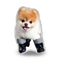 Boo In Boots Throw Pillow