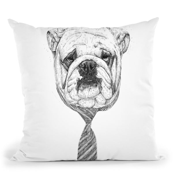 Cool Dog Throw Pillow By Balazs Solti