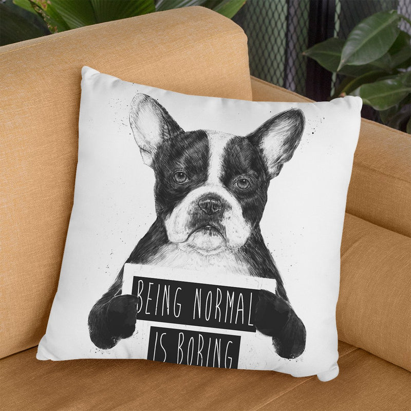 Being Normal Isboring Throw Pillow By Balazs Solti