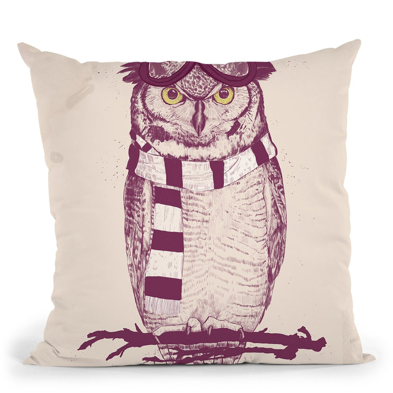 The Aviator Throw Pillow By Balazs Solti