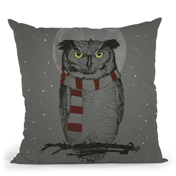 Winter Owl Throw Pillow By Balazs Solti