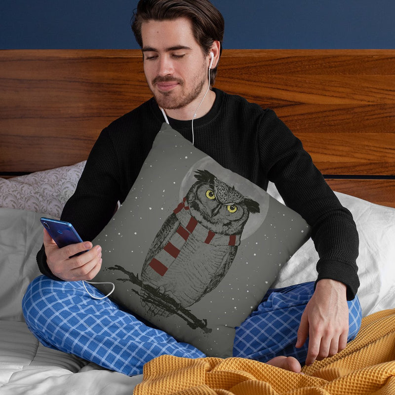 Winter Owl Throw Pillow By Balazs Solti