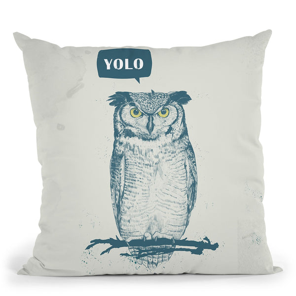 Yolo Throw Pillow By Balazs Solti