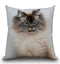 Merlin Be Careful With Me Throw Pillow