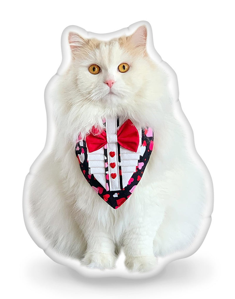 Louie Be My Valountine Throw Pillow