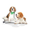 Personalized Beagle Pillow