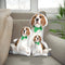 Personalized Beagle Pillow