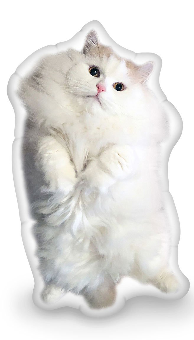 Louie Belly Up Throw Pillow