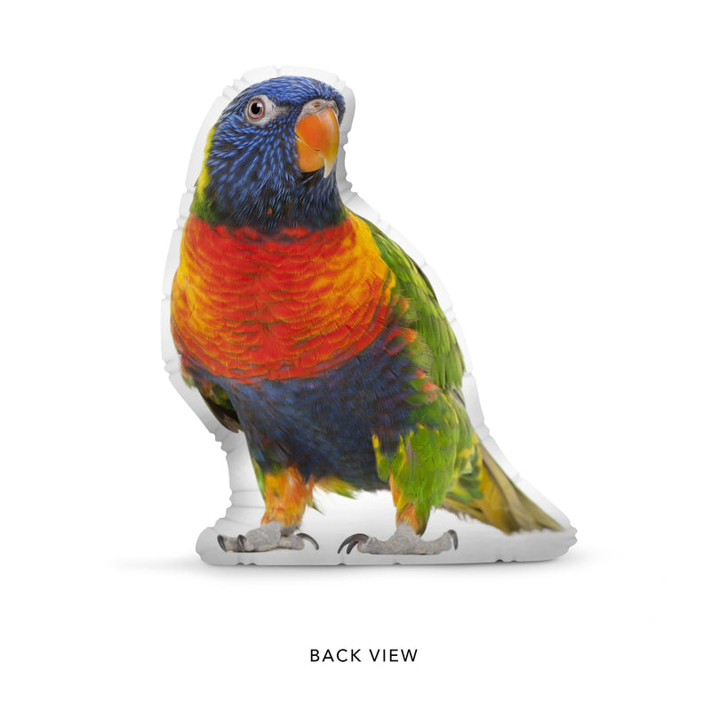 Custom Bird Pillow