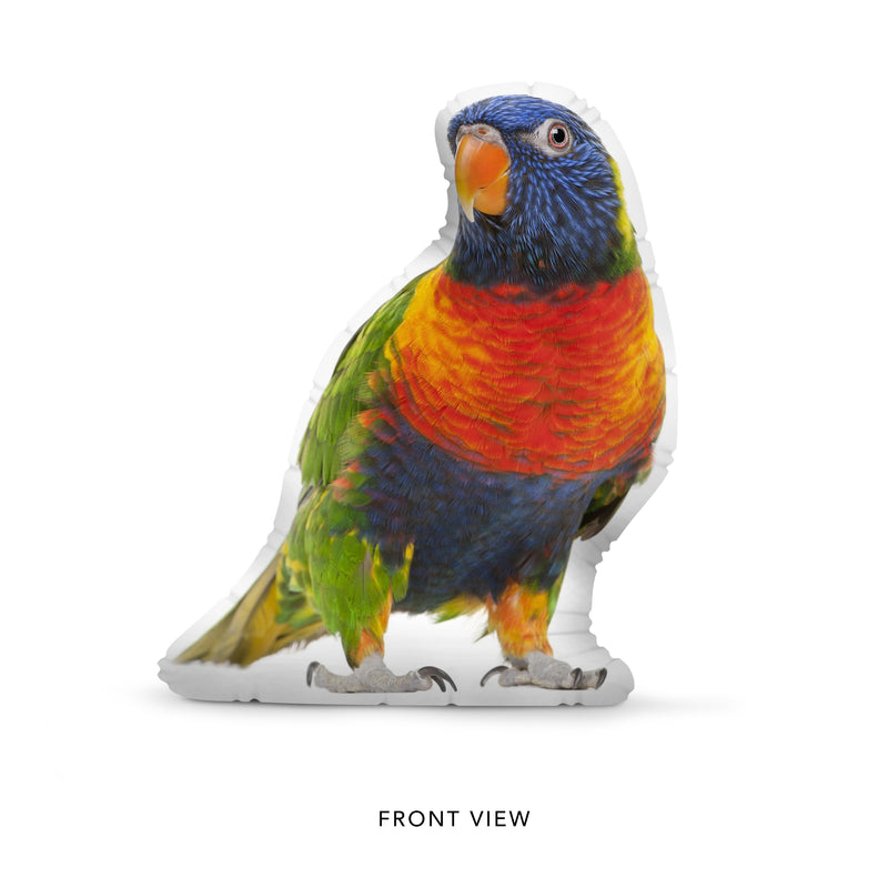Custom Bird Pillow