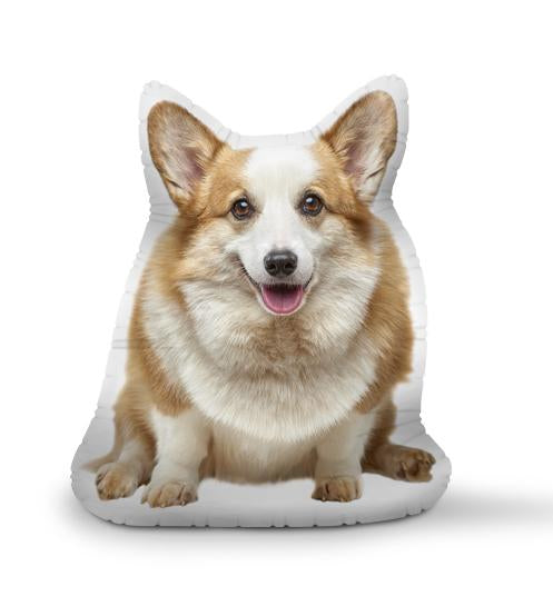 Three Crazy Corgis Sitting Throw Pillow