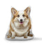 Three Crazy Corgis Sitting Throw Pillow