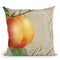 Fruits Classique I Throw Pillow By Color Bakery