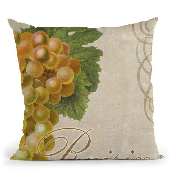 Fruits Classique Vi Throw Pillow By Color Bakery