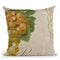 Fruits Classique Vi Throw Pillow By Color Bakery