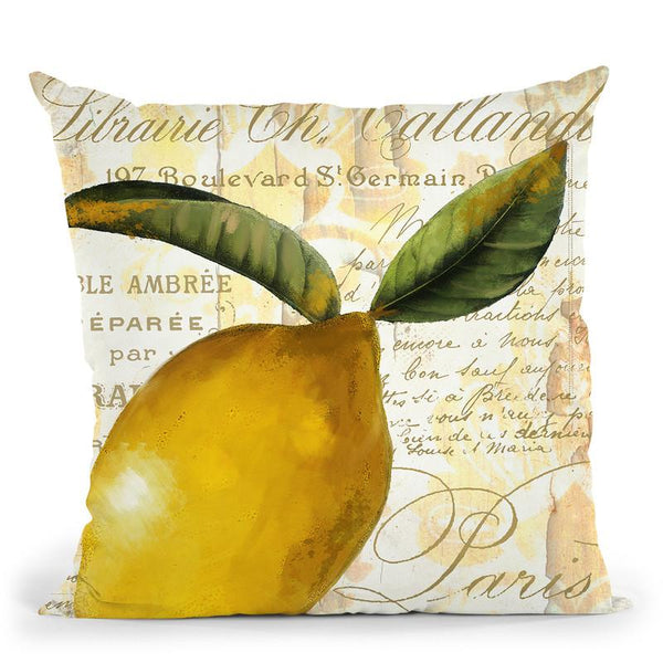 Cafe DÕOr Iv Throw Pillow By Color Bakery