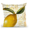 Cafe DÕOr Iv Throw Pillow By Color Bakery
