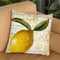 Cafe DÕOr Iv Throw Pillow By Color Bakery
