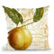 Cafe DÕOr V Throw Pillow By Color Bakery