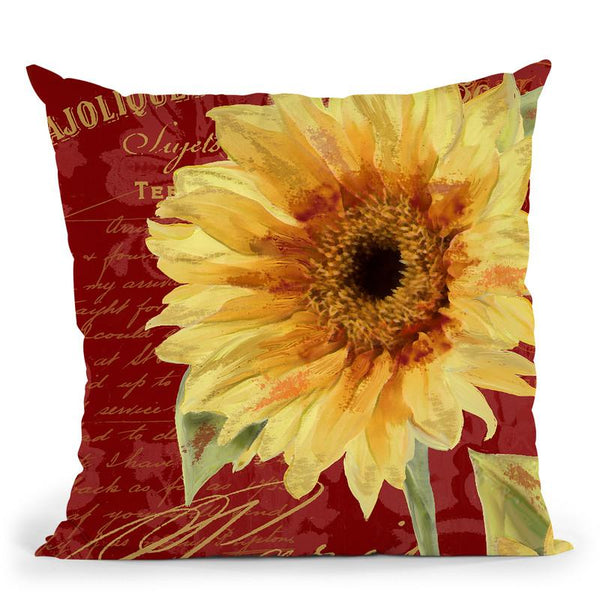 Ete Iii Throw Pillow By Color Bakery