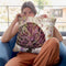 Legumes Francais Ii Throw Pillow By Color Bakery
