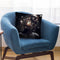 New Day Throw Pillow By Cameron Gray