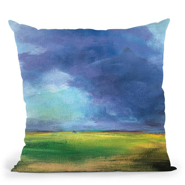 Before The Storm Throw Pillow By Christine Lindstrom