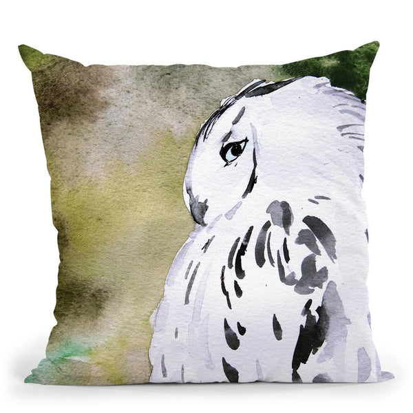 Owl Throw Pillow By Christine Lindstrom