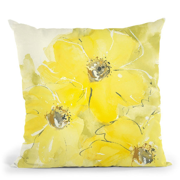 Sunshine Cosmos I Throw Pillow By Chris Paschke