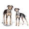 Custom Catahoula Shaped Dog Pillow
