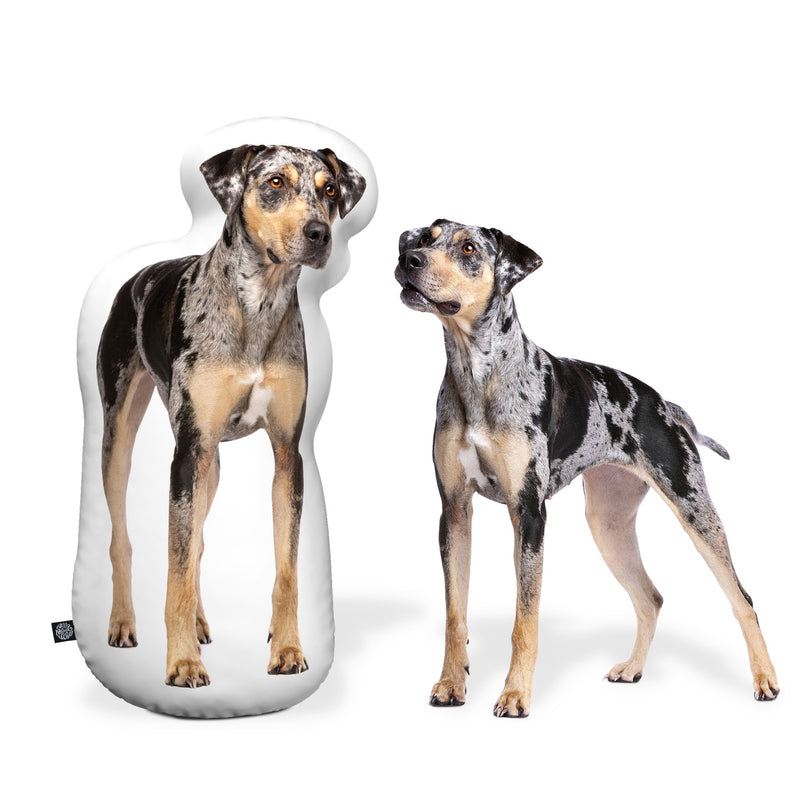 Custom Catahoula Shaped Dog Pillow