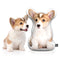 Custom Corgi Shaped Dog Pillow