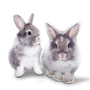 Custom Bunny Pillow