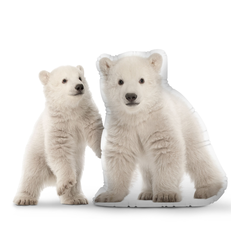 Custom Bear Pillow