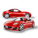 Custom Car Pillow
