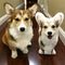 Corgi Custom Dog Pillows - All About Vibe