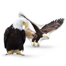 Custom Eagle Pillow
