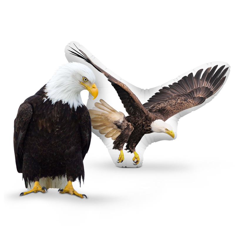 Custom Eagle Pillow