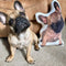 Personalized French Bulldog Pillow