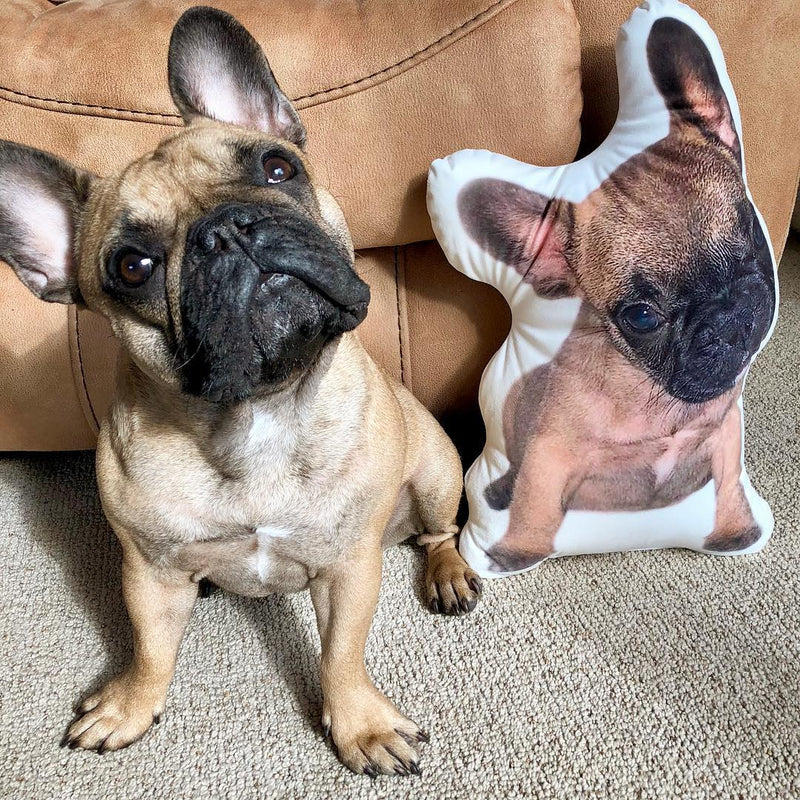 Personalized French Bulldog Pillow