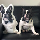 Personalized French Bulldog Pillow