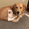 Custom Golden Retriever Shaped Dog Pillow